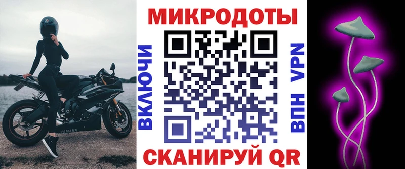 KRAKEN ссылки  Губкинский  Галлюциногенные грибы GOLDEN TEACHER 